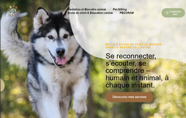 Nouveau projet (8) (1)